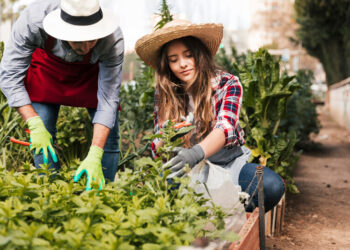 Agricultura Familiar: O Pilar da Segurança Alimentar e da Economia Local