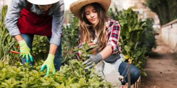 Agricultura Familiar: O Pilar da Segurança Alimentar e da Economia Local