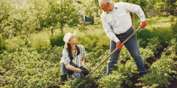 Agricultura Familiar no Distrito Federal: Sustentando a Segurança Alimentar
