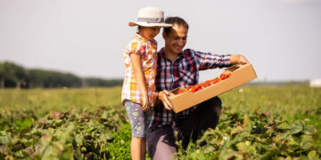 Agricultura Familiar no Distrito Federal: Garantindo a Segurança Alimentar